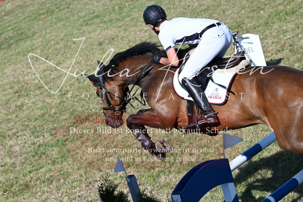 DSC_2517 | Pferde- und Turnierfotografie in Westsachsen. Pferdeportraits, Auftragszeichnungen und intuitive Kunst.