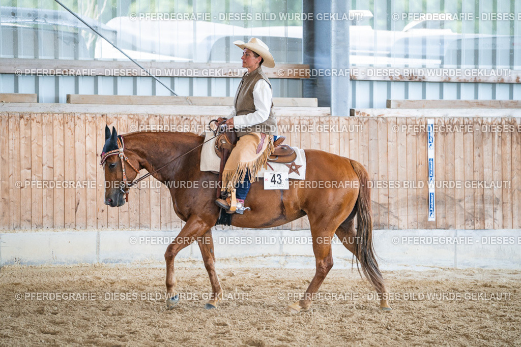 DSC03532 | Pferdegrafie