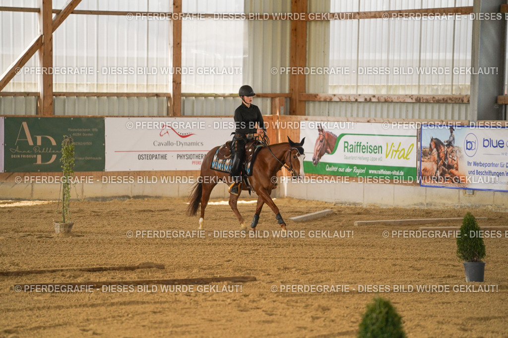 DSC05852 | Pferdegrafie