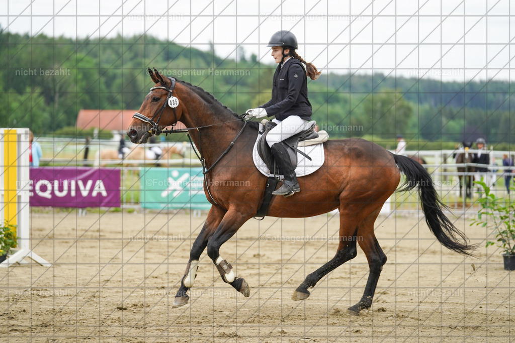 20240630-FAH01208 | Turnierbilder Schwabmünchen, Dressurbilder, Springreitturnier, Reitsportbilder, Turnierfotografen Bayern, Turnierfotograf