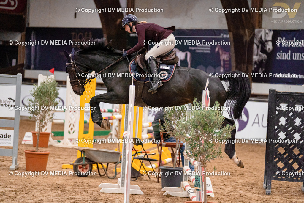 Kranichstein II Tag 1-364 | dv-media-shop - Realisiert mit Pictrs.com