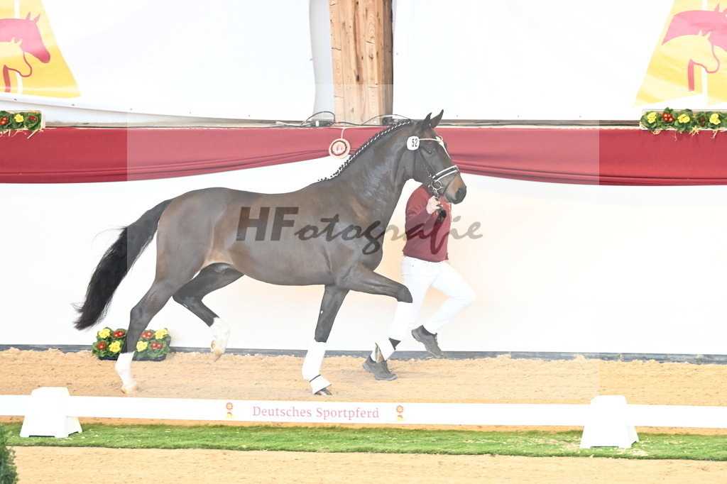 Kat.-Nr. 52 v. Friedrich der Große_Fischer_2240608 | hf-fotografie - Realisiert mit Pictrs.com