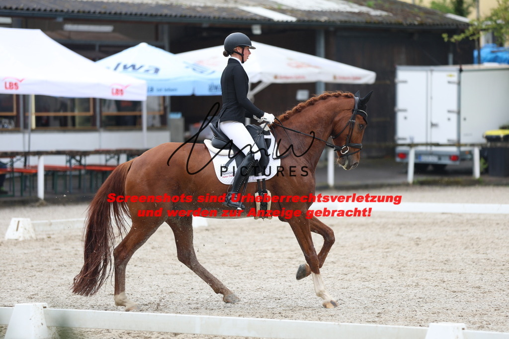 A40A8302 | lmwpictures - Realisiert mit Pictrs.com