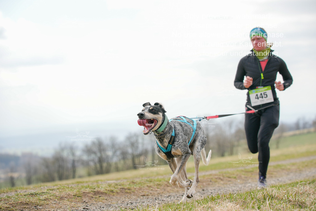 CaniXRunSA-223 | stephaniefillaphotographie - Realisiert mit Pictrs.com