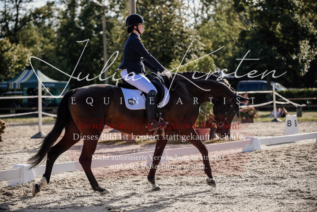 DSC_0561 | Pferde- und Turnierfotografie in Westsachsen. Pferdeportraits, Auftragszeichnungen und intuitive Kunst.