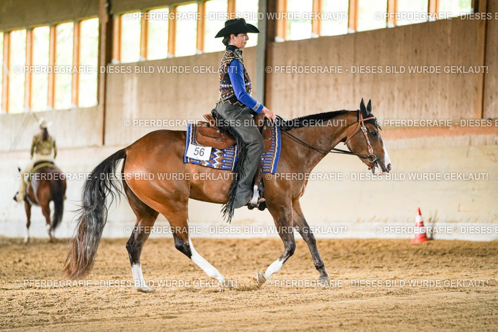 DSC05627 | Pferdegrafie