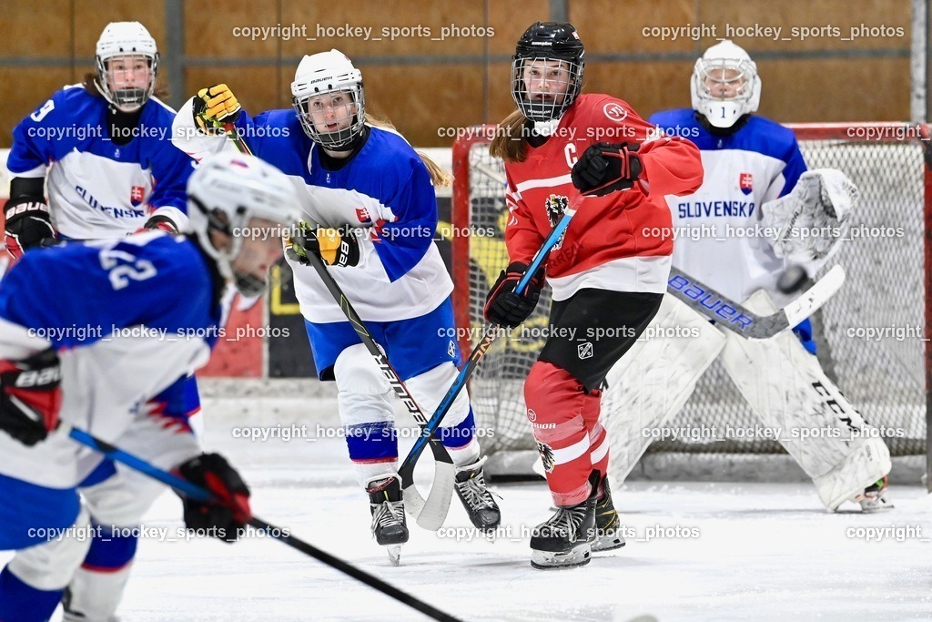 BST_3688 | hockey sports photos, Pressefotos, Sportfotos, hockey247, win 2day icehockeyleague, Handball Austria, Floorball Austria, ÖVV, Kärntner Eishockeyverband, KEHV, KFV, Kärntner Fussballverband, Österreichischer Volleyballverband, Alps Hockey League, ÖFB, 