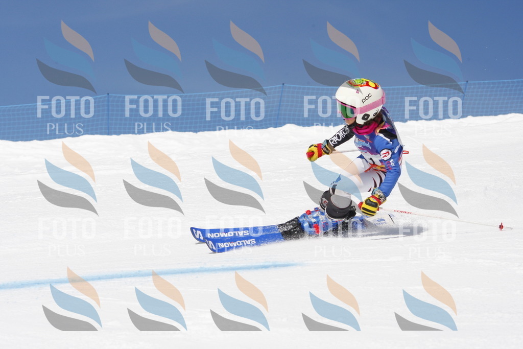 _W1G1668 | holidayphoto