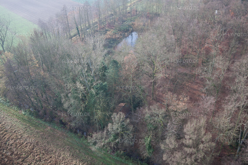 Luftbild: Jagdrevier an der Leistenmühle in Erlenbach bei Kandel im Bundesland Rheinland-Pfalz in Deutschland. Foto: IMG_35495.jpg vom 20.11.2010 durch Werner Riehm/FLY-FOTO.de
