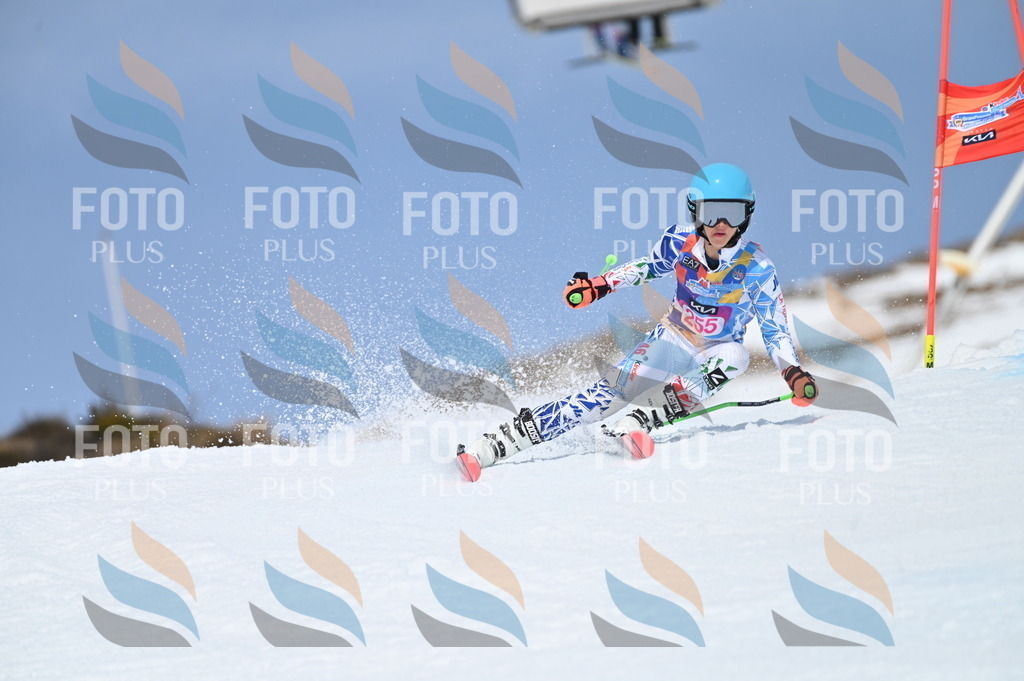 BGV_1971 | holidayphoto