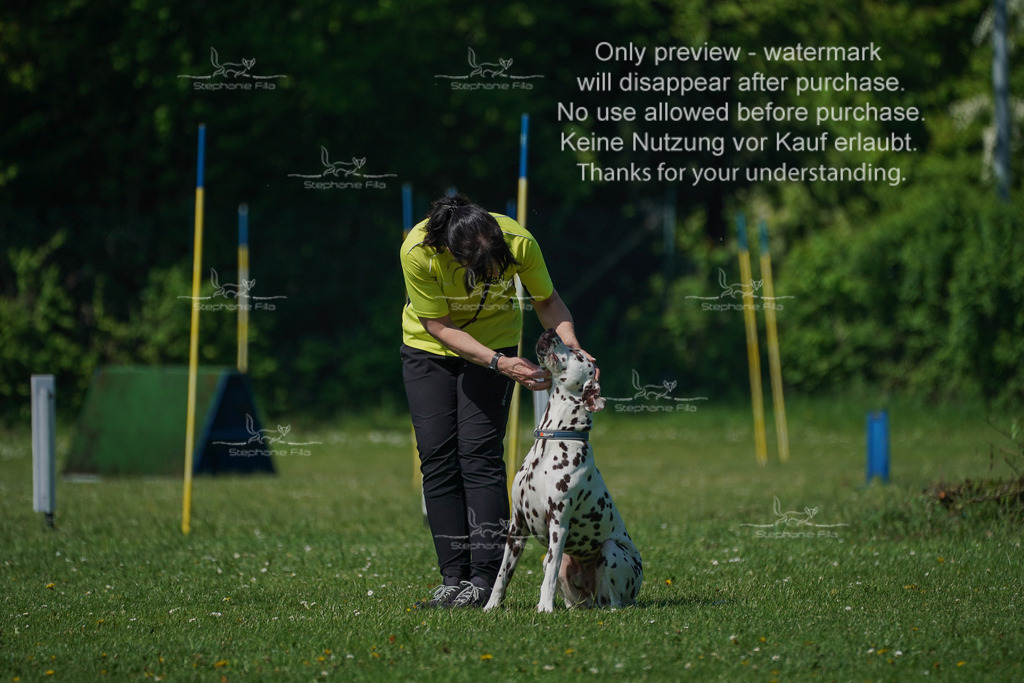 Sa_Gehorsam_Vormittag-132 | stephaniefillaphotographie - Realisiert mit Pictrs.com