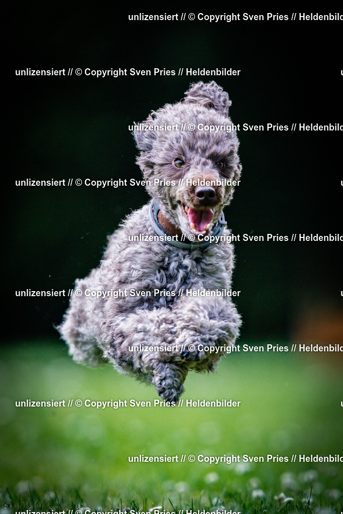 Sven Pries | 2025-05-29 - Pudelrennen KA-Durlach - Realisiert mit Pictrs.com