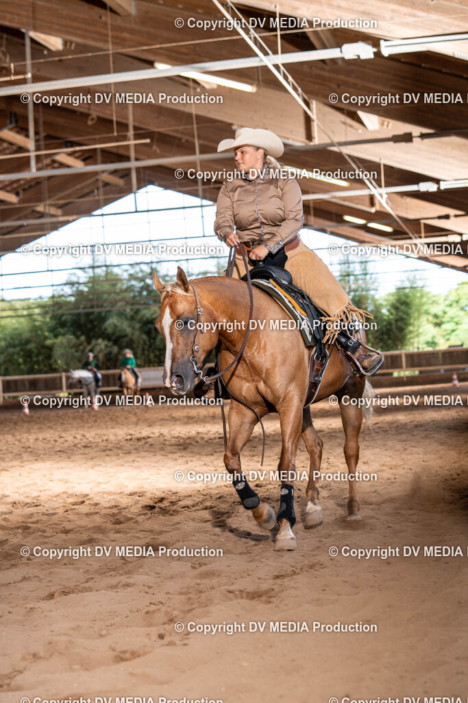 Erbach Tag 1-1122 | dv-media-shop - Realisiert mit Pictrs.com