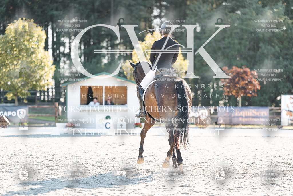 CK907156 | Turnierfotografie Pferdefotografie Trier Rheinland-Pfalz Pferdesport Reitsport Tierfotografie Sportfotografie Pferdevideo Pferdevideografie Equestrianvideography equestrianphotography  - Realisiert mit Pictrs.com