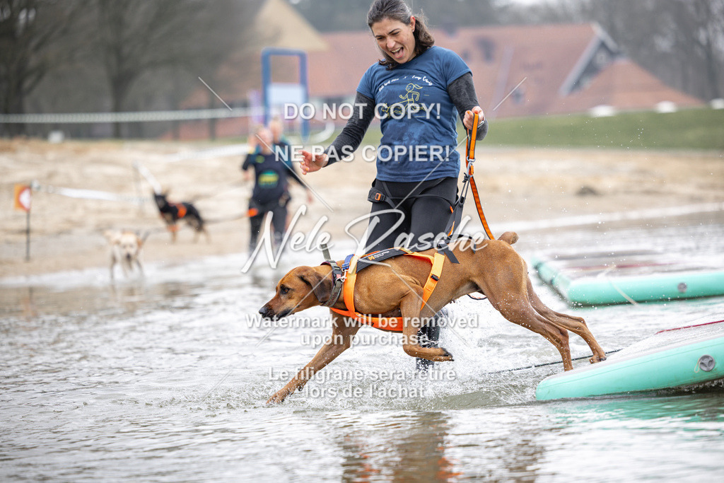 nelerasche_Hulsbeek_Sa1100-1130_444 | nelerasche