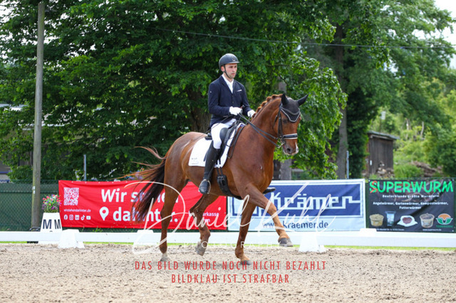 DKP40889 | Turnierfotos kaufen im Webshop von Daniel Kuhl Photography – entdecke professionelle Reitsportfotos aus Turnieren & Events. Hochwertige Turnierbilder online bestellen & sichern. Jetzt Fotos von Reitsportturnieren kaufen!