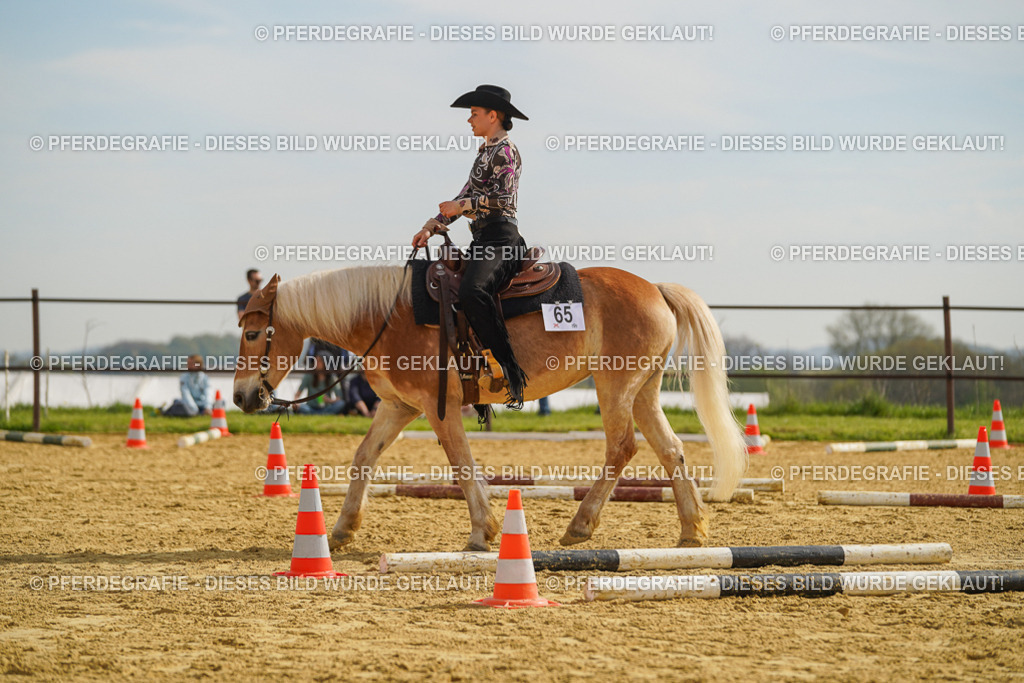 DSC01754 | Pferdegrafie