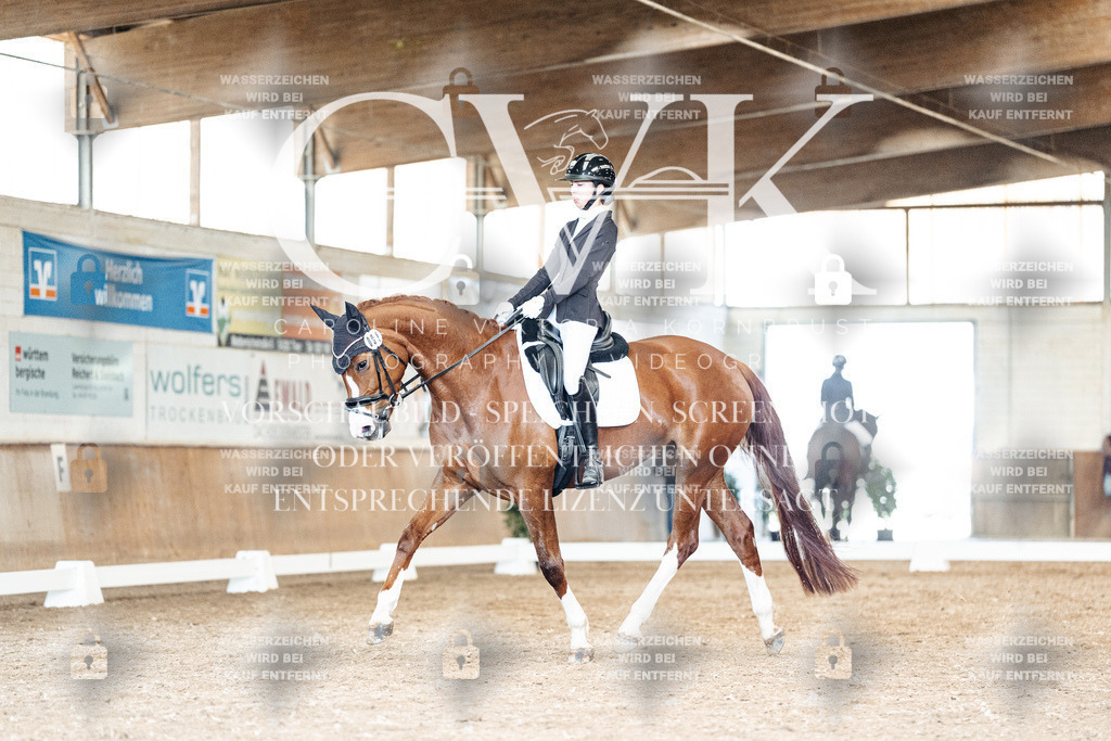 CK901271 | Turnierfotografie Pferdefotografie Trier Rheinland-Pfalz Pferdesport Reitsport Tierfotografie Sportfotografie Pferdevideo Pferdevideografie Equestrianvideography equestrianphotography  - Realisiert mit Pictrs.com