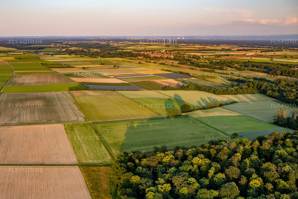 Luftbild: Billigheimer Bruch von Westen im Ortsteil Mühlhofen in Billigheim-Ingenheim im Bundesland Rheinland-Pfalz in Deutschland. Foto: IMG_136304.jpg vom 07.06.2023 durch Werner Riehm/FLY-FOTO.de