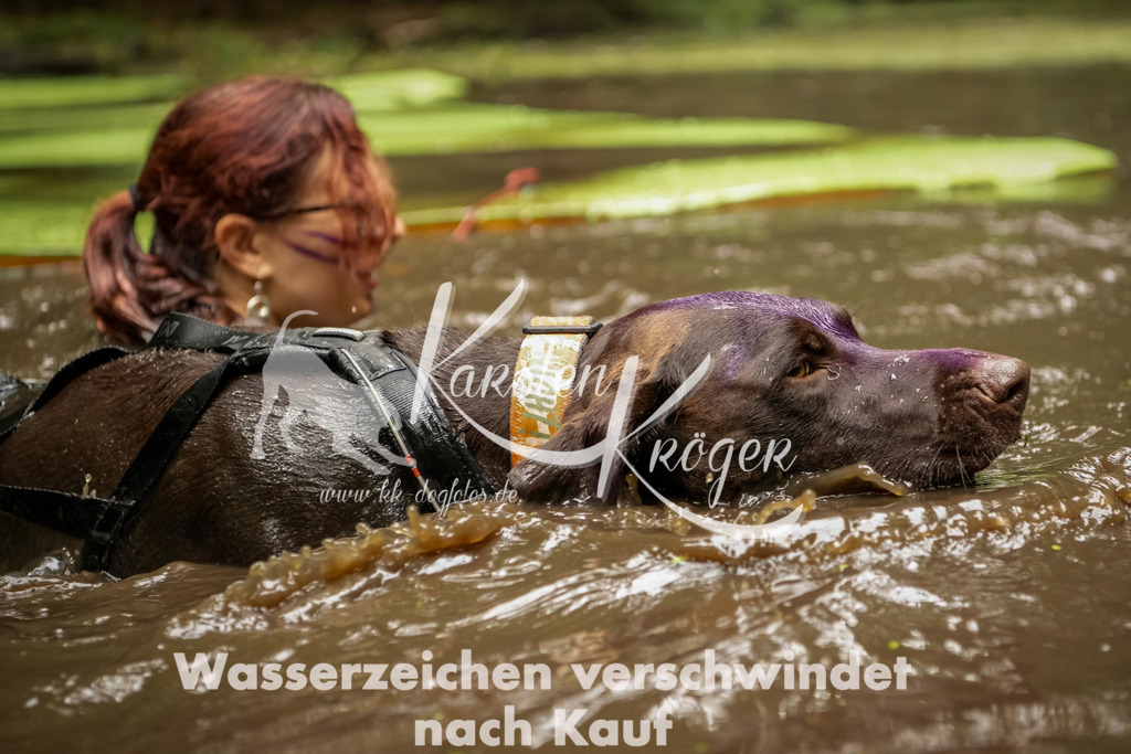 1212_ZZ93184-Bearbeitet | kk-dogfotos