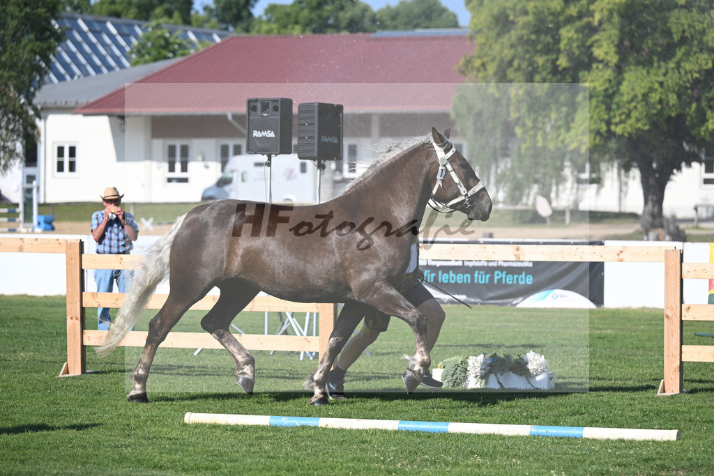 Kat-Nr. 1 Fiola_Schultheiss_20230006 | hf-fotografie - Realisiert mit Pictrs.com