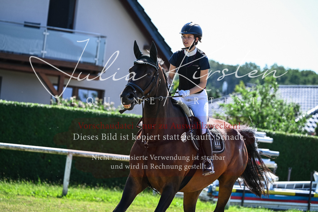 DSC_1596 | Pferde- und Turnierfotografie in Westsachsen. Pferdeportraits, Auftragszeichnungen und intuitive Kunst.