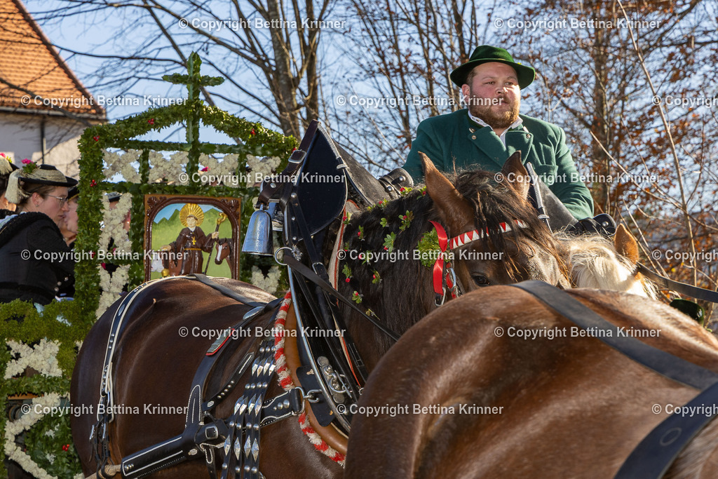 LBT25-1237 | foto-bettina-krinner - Realisiert mit Pictrs.com