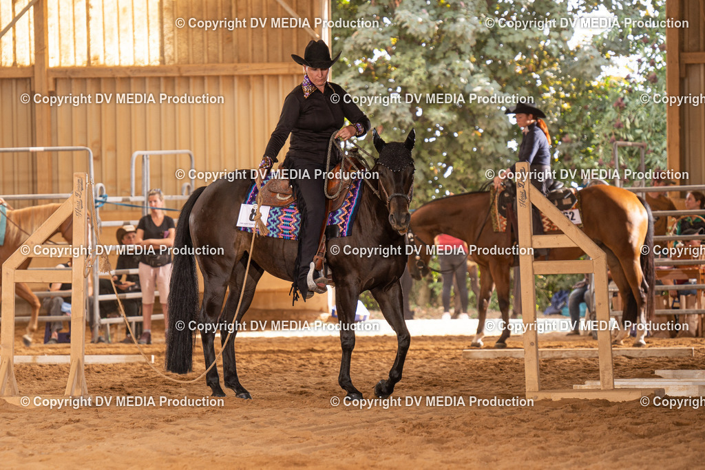 NID00633 | dv-media-shop - Realisiert mit Pictrs.com