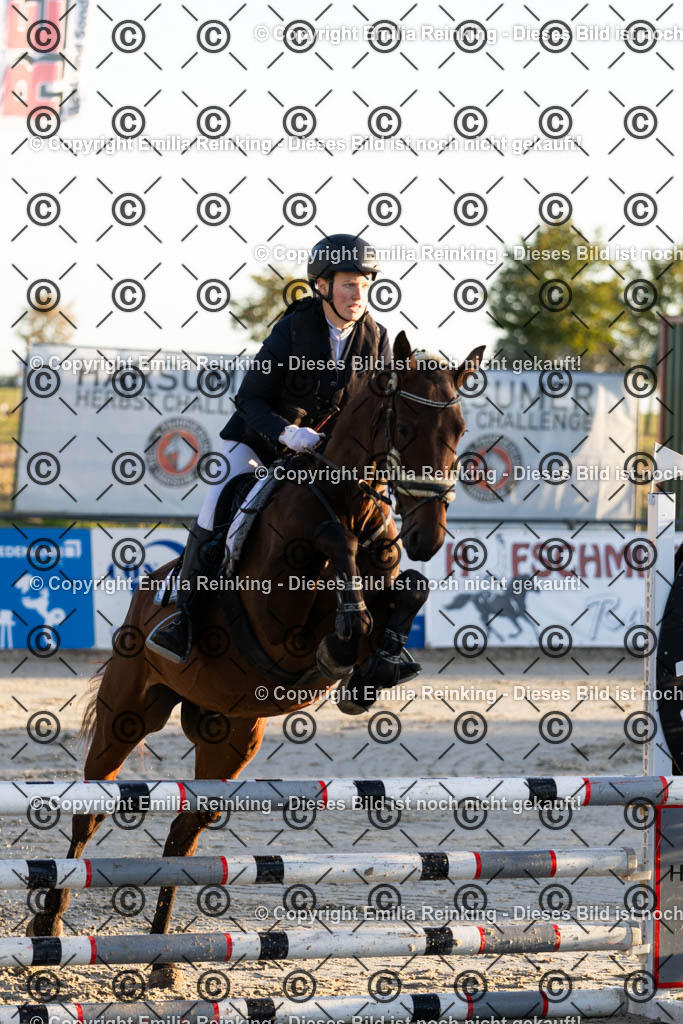 CL5A0805 | Emilia Reinking Fotografie - Realisiert mit Pictrs.com