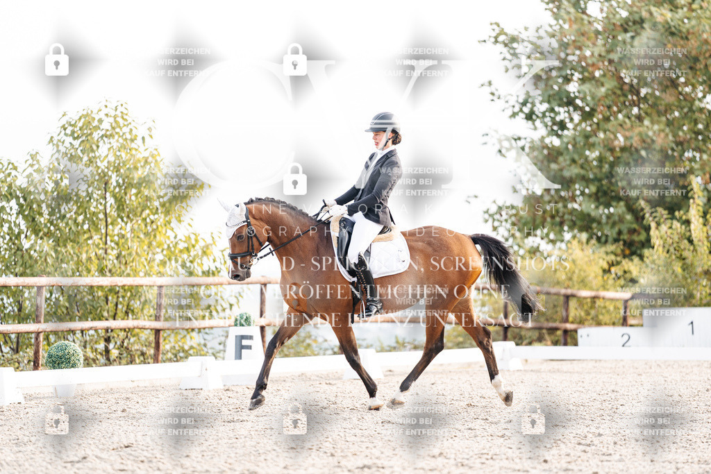 CK900443 | Turnierfotografie Pferdefotografie Trier Rheinland-Pfalz Pferdesport Reitsport Tierfotografie Sportfotografie Pferdevideo Pferdevideografie Equestrianvideography equestrianphotography  - Realisiert mit Pictrs.com