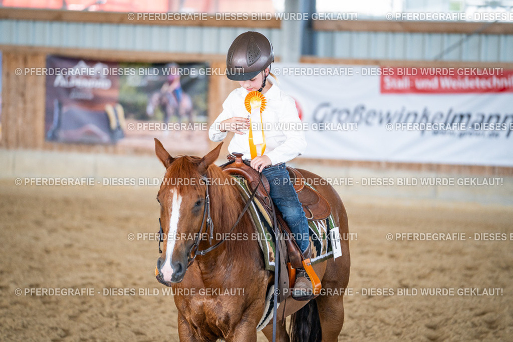 DSC03277 | Pferdegrafie