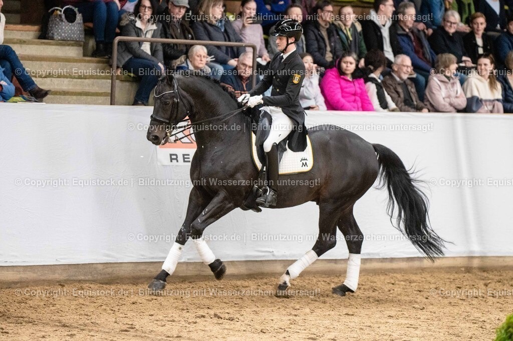 20260307_Hengstvorstellung-Marbach_0506 | equistock