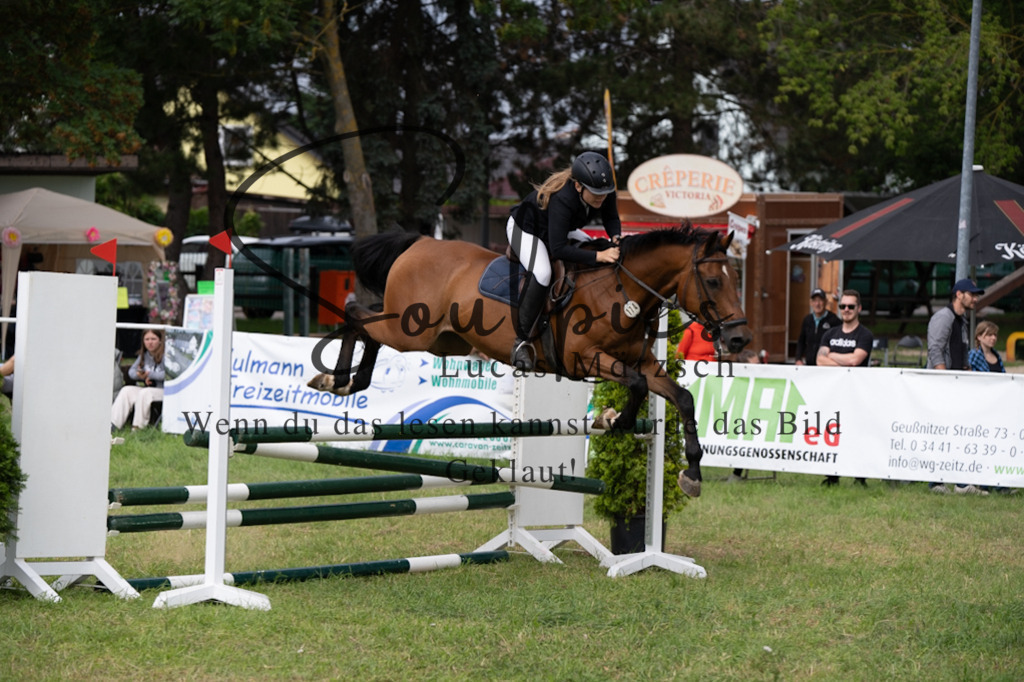 A7V05325 | Pferdefotograf