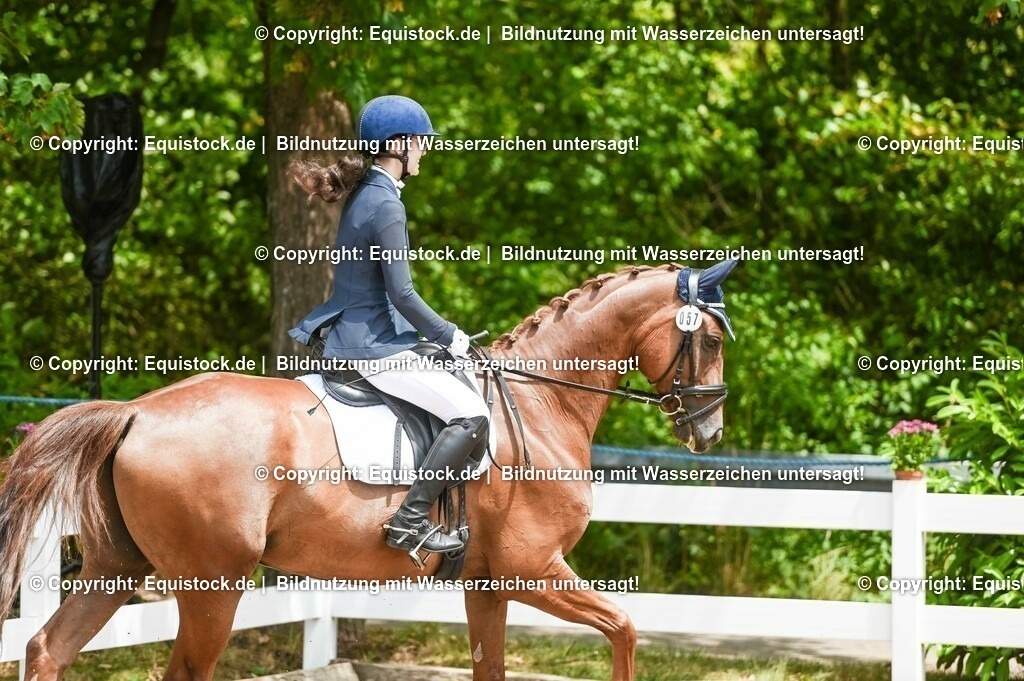 20230716_03_Dressurprfg. Kl.L - Tr._0328 | equistock