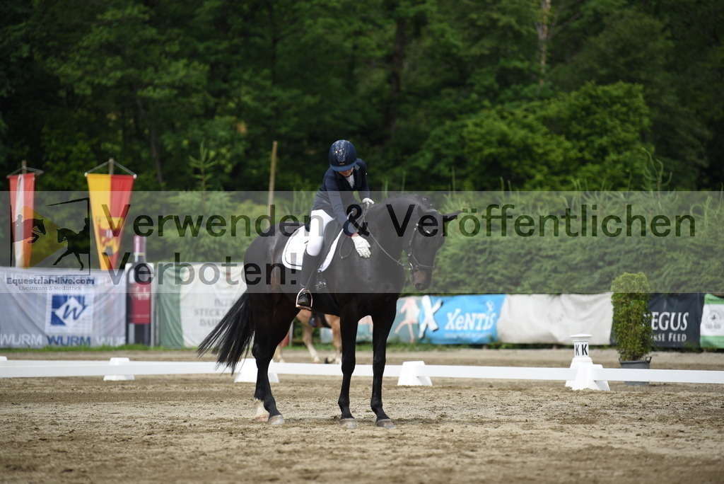 DSC_8457 | equestrian-live-com
