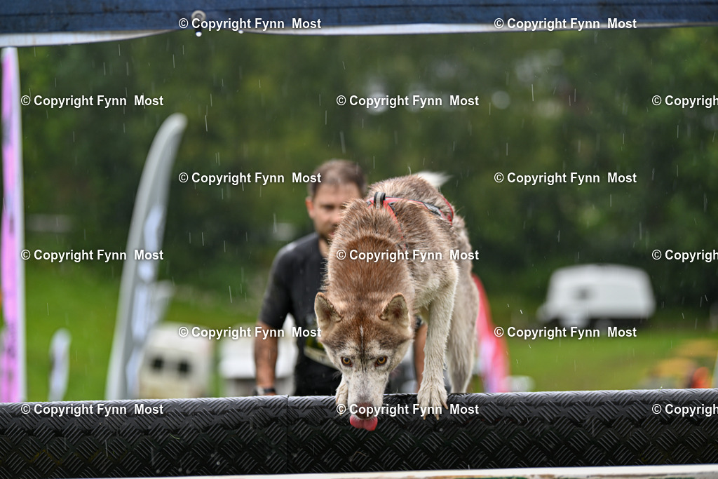 DSC_6896 | Hallo und herzlich Willkommen auf meiner Shop-Seite Fynn Most.

Ich wünsche Dir viel Spaß beim stöbern durch die Bilder, wenn Du Fragen hast oder Bilder vermisst, kannst du mir gerne eine Nachricht schreiben. - Realisiert mit Pictrs.com