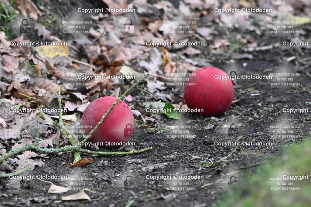 DSC_6991 | fotododen.de präsentiert ein umfangreiches Sportfoto Archiv mit Aufnahmen aus verschiedenen Sportarten im Raum Ostfriesland.