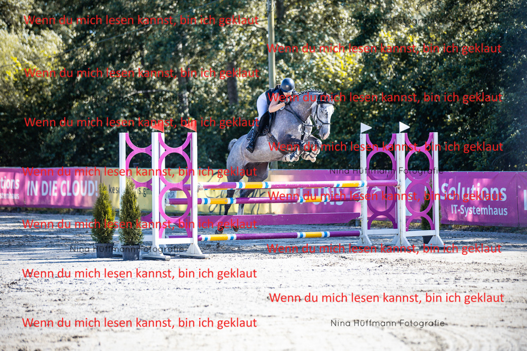 BK1A5673 | Turnierbilder Turnierfotos Nina Hüffmann Turnierfotografie Pferdefotografie Tierzeichnung Haustierzeichnung Pferdezeichnung Hundezeichnung Videograf  - Realisiert mit Pictrs.com