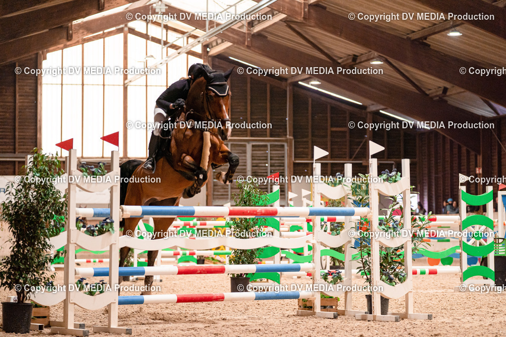 Springen Tag 3-384 | dv-media-shop - Realisiert mit Pictrs.com