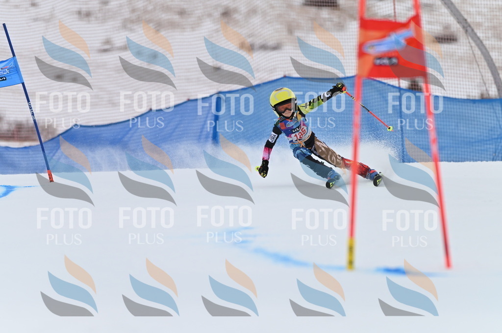 BGV_1192 | holidayphoto