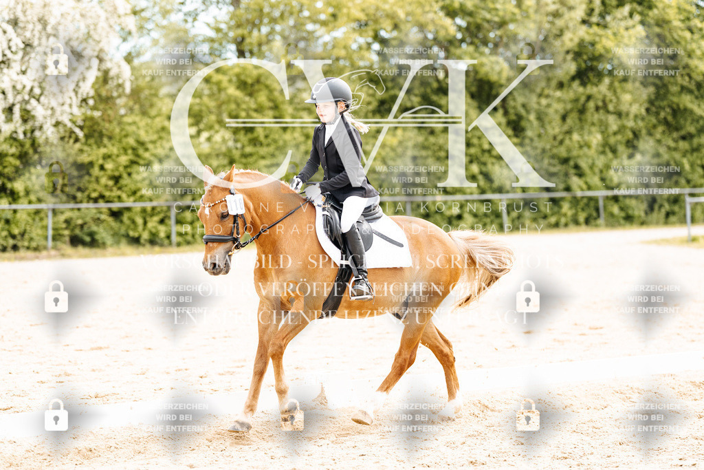 CK904653 | Turnierfotografie Pferdefotografie Trier Rheinland-Pfalz Pferdesport Reitsport Tierfotografie Sportfotografie Pferdevideo Pferdevideografie Equestrianvideography equestrianphotography  - Realisiert mit Pictrs.com