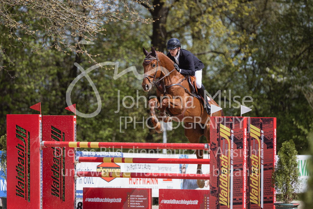 230501_SpengeW_M2St-232 | Deine schönsten Turniermomente als professionelle Fotos! Entdecke hochwertige Pferdesport-Fotografie im Online-Shop. Jetzt Fotos finden & bestellen!