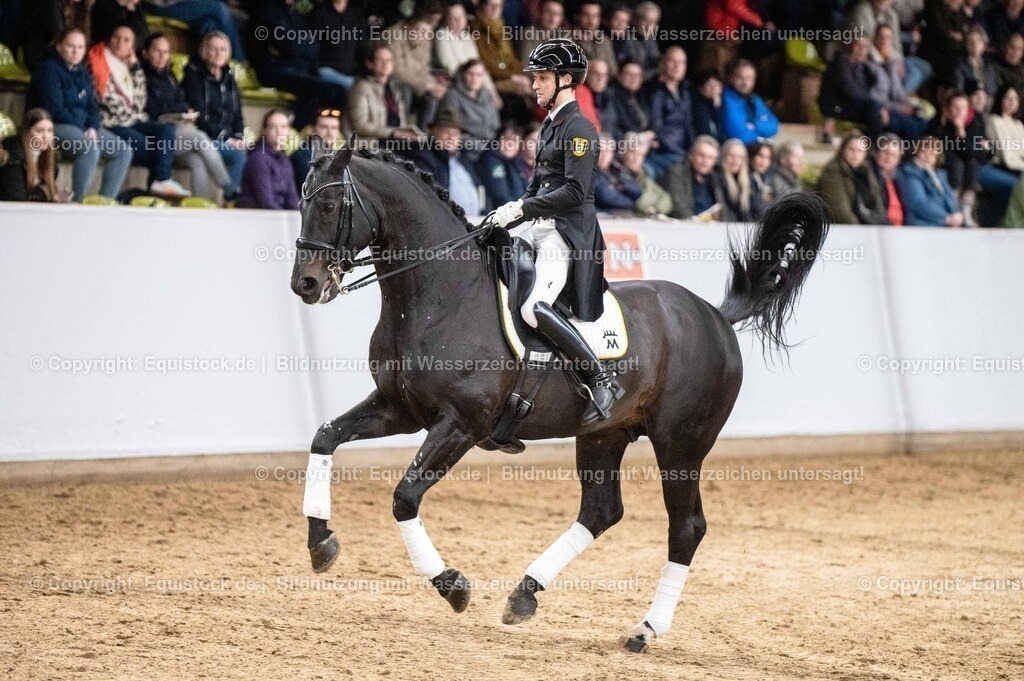 20260307_Hengstvorstellung-Marbach_0487 | equistock
