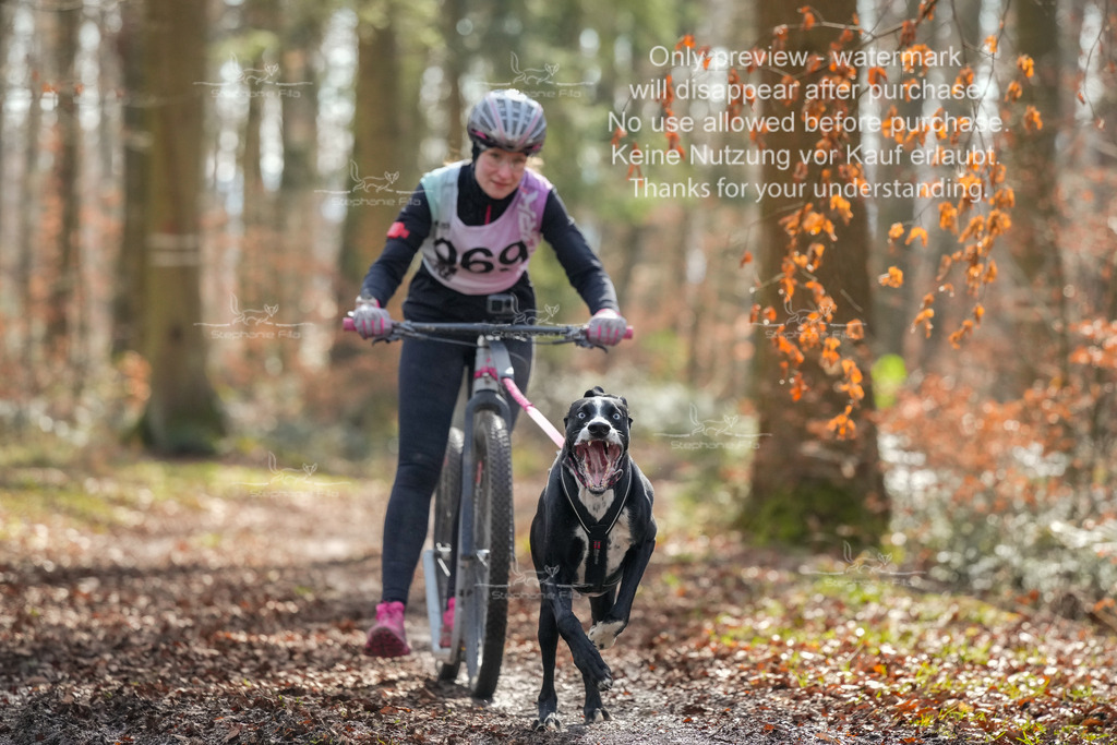 So_Scooter1-28 | stephaniefillaphotographie - Realisiert mit Pictrs.com