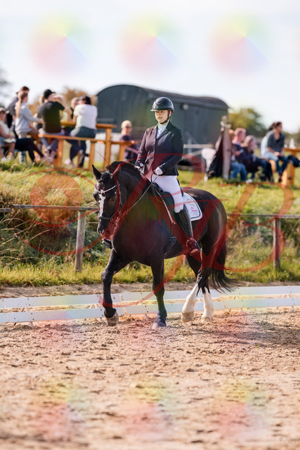 2026_10_03_Siefer-Hof_131530_Z81_63918532 | Professionelle Reitsport-, Turnier- und Eventfotografie von Robert Broda. Galerien mit ausgewählten und bearbeiteten Bildern direkt online ansehen und bestellen.