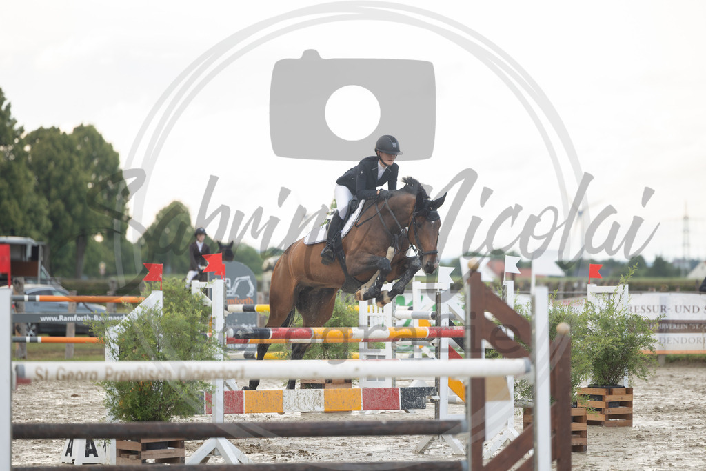 994A9961 | sabrinanicolaifotografie - Realisiert mit Pictrs.com