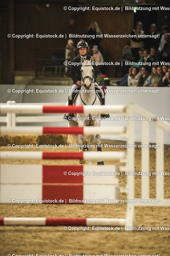 20240302_Hengstvorstellung_Marbach_TOMsPiC_1409 | equistock