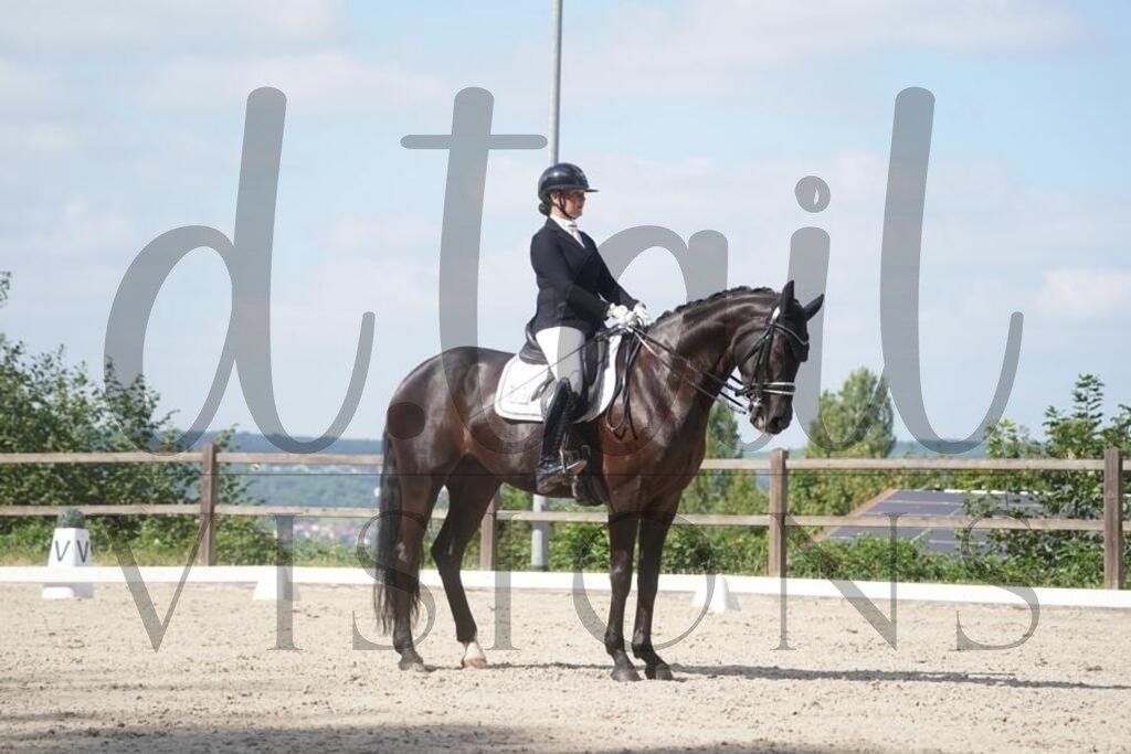 tgbhsonntag (685) | d.tail Visions - Shop - Realisiert mit Pictrs.com