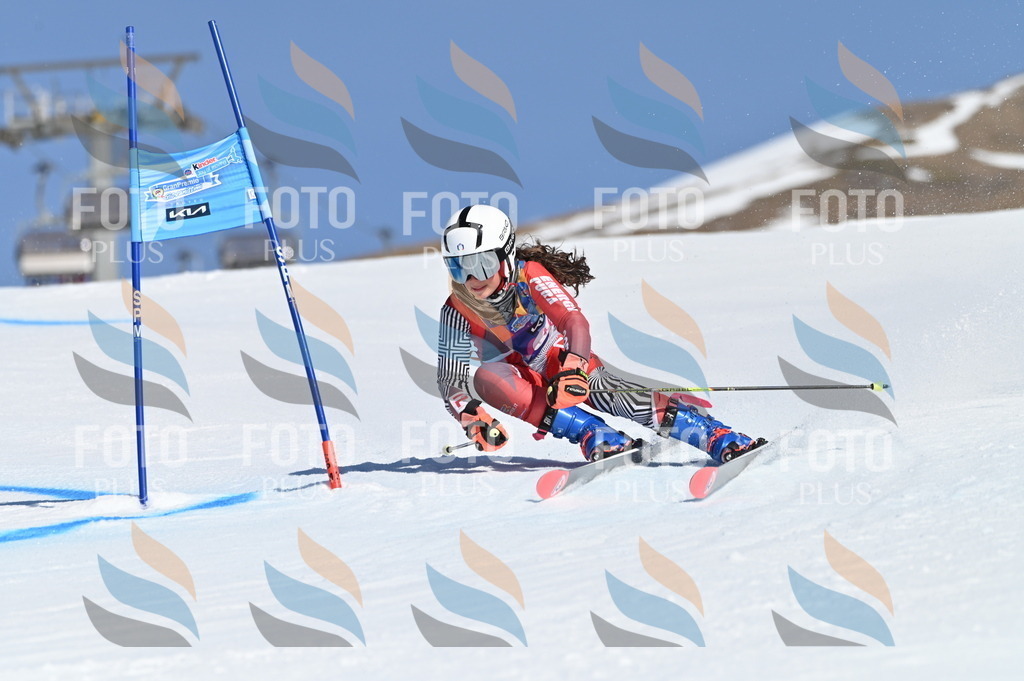 BGV_7872 | holidayphoto