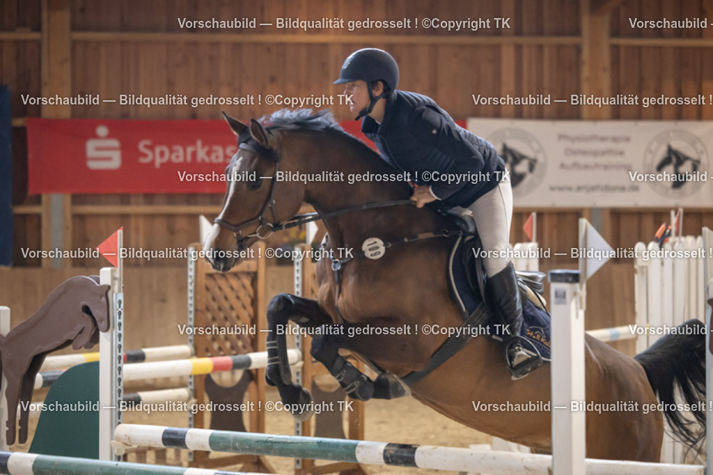 _D5A9394 | Emotionale Pferde- & People-Fotografie rund um Heidelberg, Leimen & Umgebung. Natürliche Fotos von Pferd, Mensch & Familie. Jetzt Termin sichern!